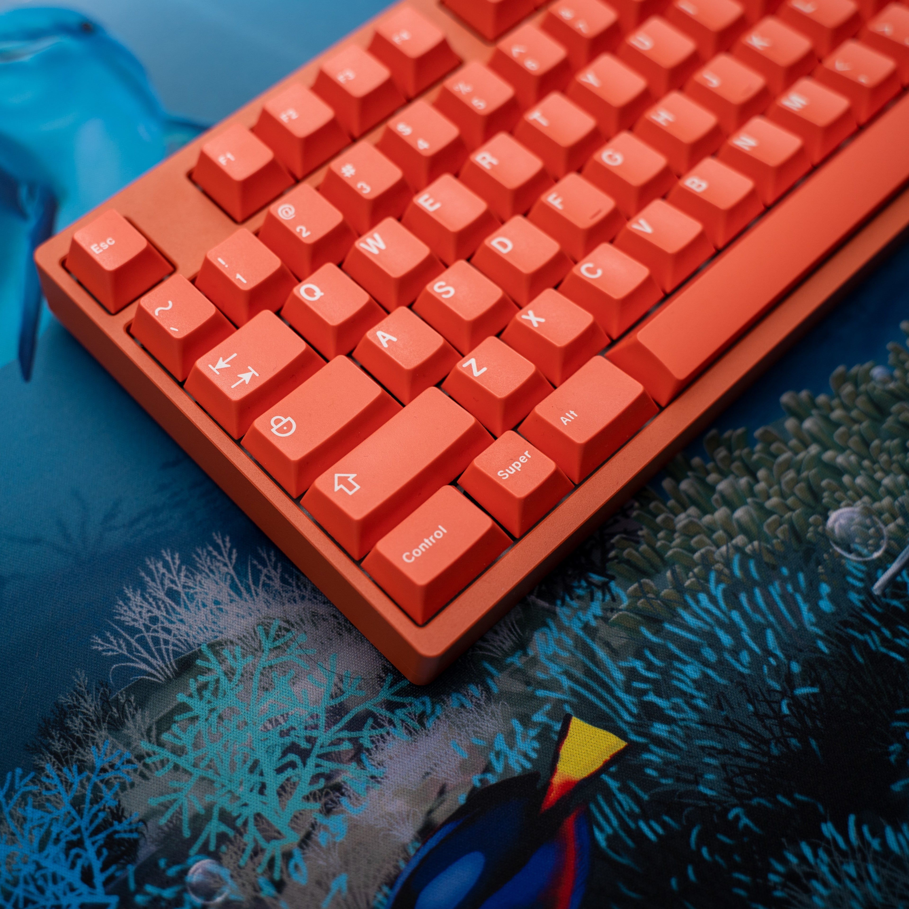 GMK Coral R2