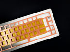 TX-65 v2