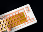 TX-66